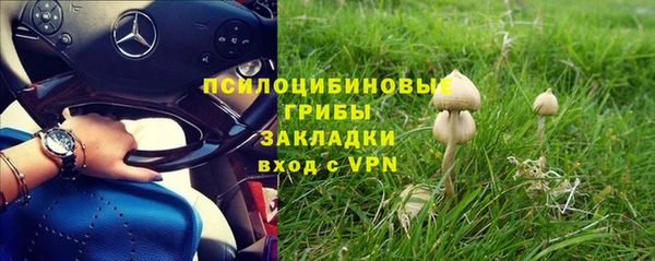 героин Алзамай