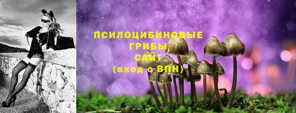 гидропоника Алексеевка