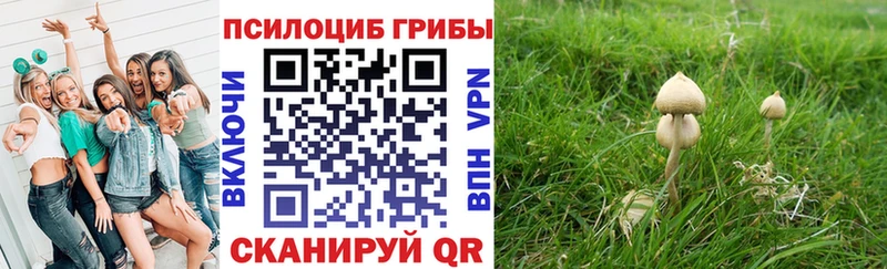 площадка официальный сайт  сколько стоит  Бодайбо  Псилоцибиновые грибы Magic Shrooms 